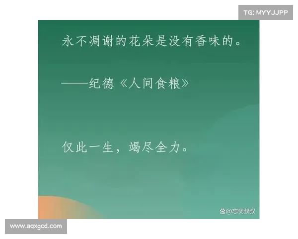 老沙传奇之路:从成长困境到心灵觉醒的全景式剖析 老沙传奇之路:从成长困境到心灵觉醒的全景式剖析