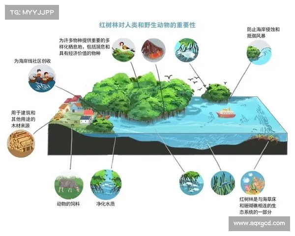 自然奇观与生态保护:生命共同体的和谐共生 自然奇观与生态保护:生命共同体的和谐共生