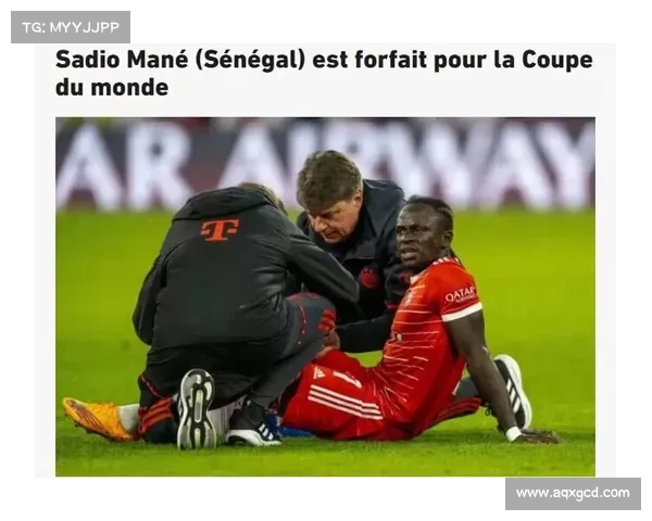 如何判断拜仁马内何时回归赛场的关键因素与恢复进程分析