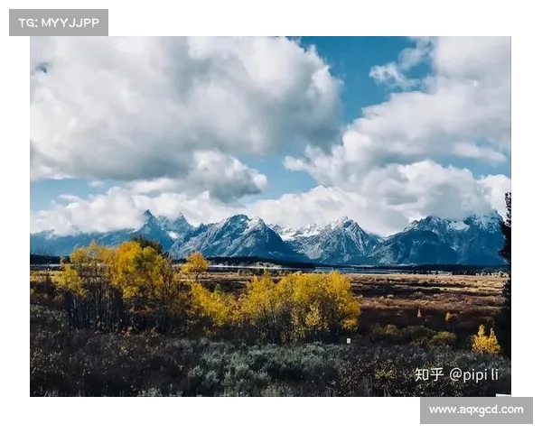 成功前往拉齐奥门迭塔的实用指南与详细旅行路线解析