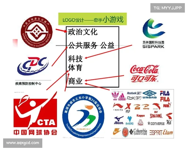 全面解析法甲冠军标志含义与视觉设计特点深度指南与历史演变脉络