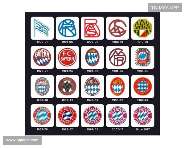 拜仁慕尼黑体育场名称的历史演变与文化象征意义分析