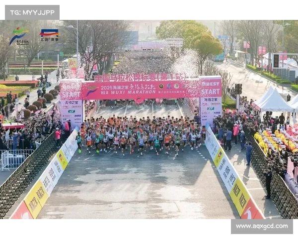 如何全面评估杨绍辉在各项纪录中的突出成绩与影响力