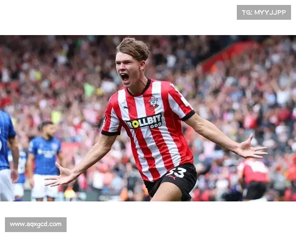 如何深入分析圣徒边锋迪布林的场上表现及其战术价值