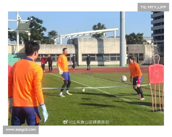 山东泰山训练方法解析 如何提升球队整体表现与竞技状态