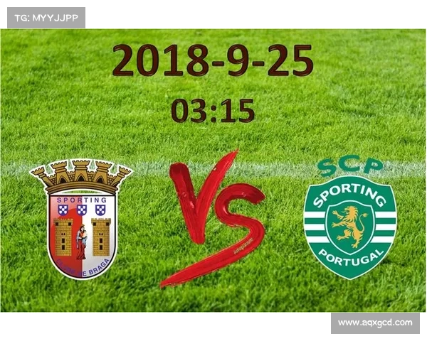 引领全球足篮电竞潮流的创新路径与战略布局探讨