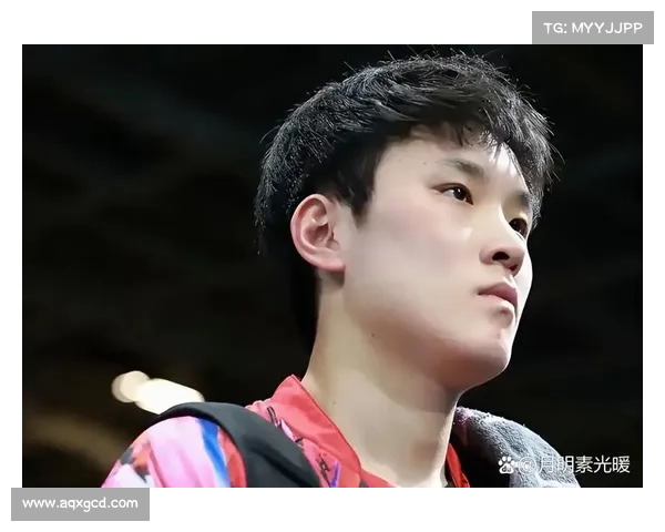 张本智和为何在比赛中被淘汰深入分析背后原因