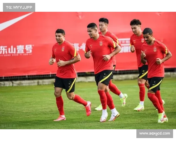 归化血缘球员的三大优势分析及其对球队发展的积极影响