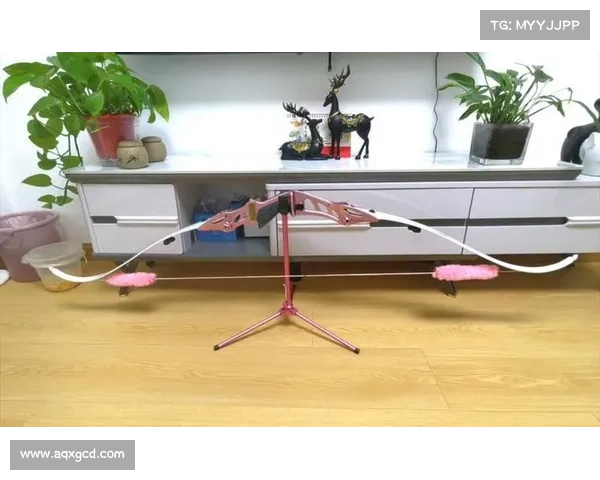 提升弓箭精准度的有效训练方法与实践技巧全面解析