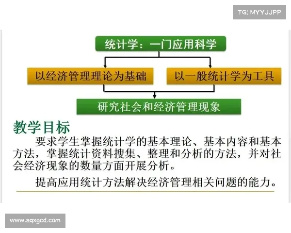 斯坦福桥五大组织特点解析及其影响力探讨
